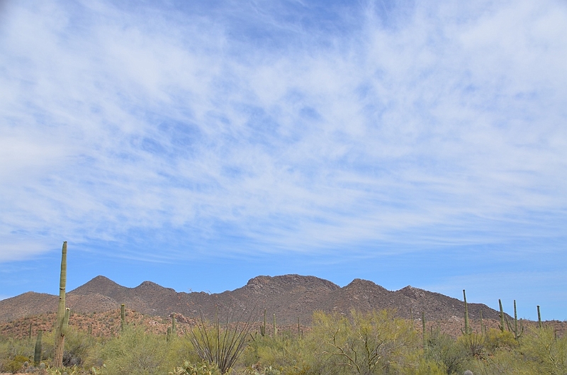044_USA_Saguaro_National_Park.JPG