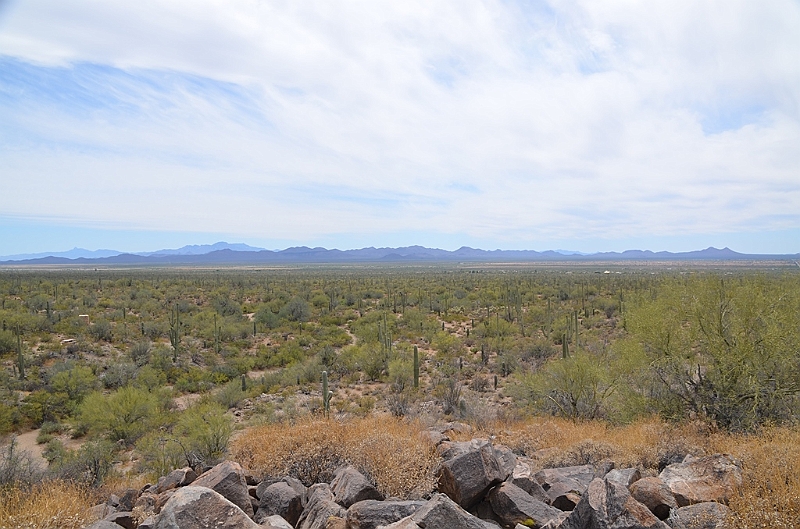 049_USA_Saguaro_National_Park.JPG