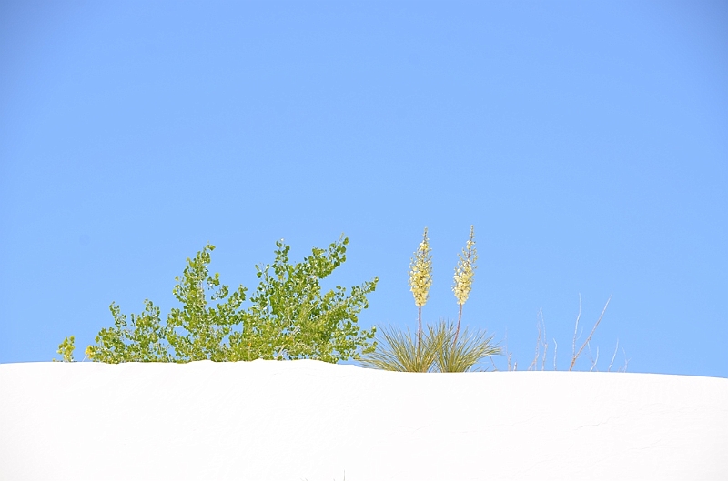 092_USA_White_Sands_National_Monument.JPG
