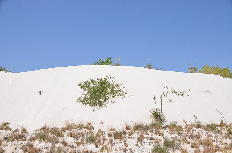 093_USA_White_Sands_National_Monument.JPG