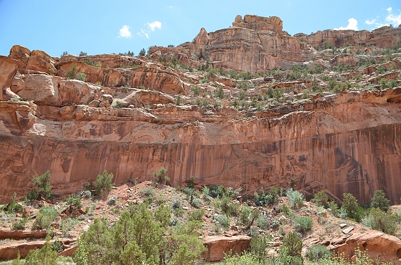 282_USA_Capital_Reef_National_Park.JPG