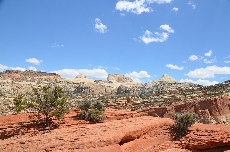 299_USA_Capital_Reef_National_Park.JPG