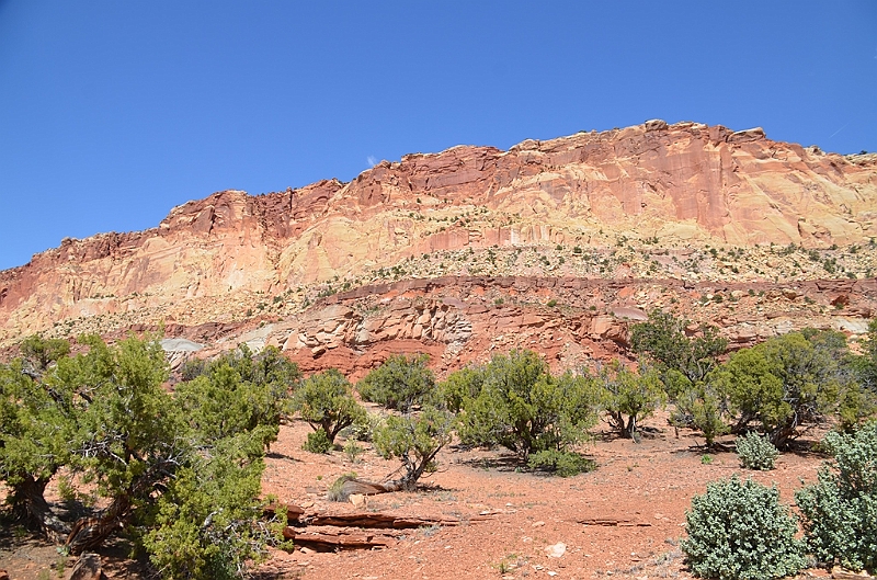 311_USA_Capital_Reef_National_Park.JPG