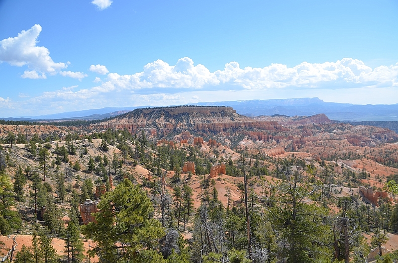 324_USA_Bryce_Canyon_National_Park.JPG