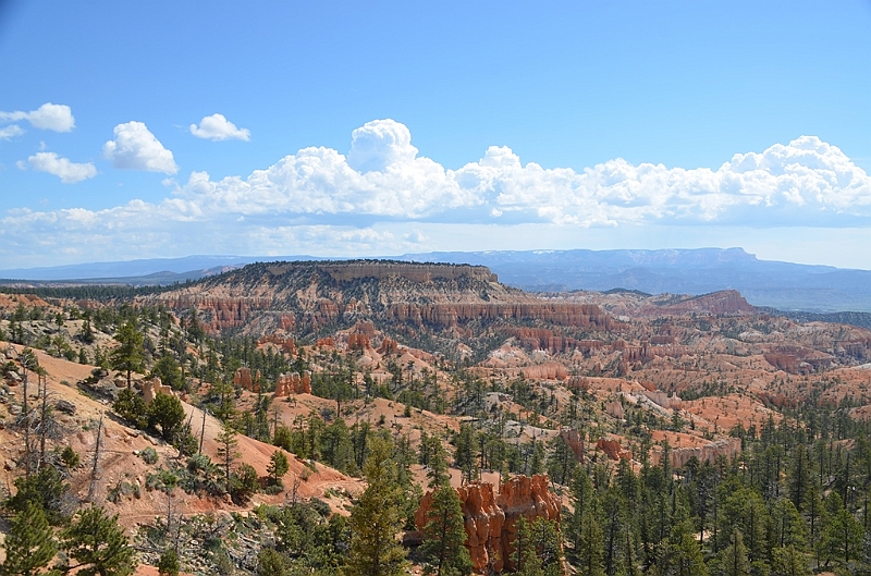 327_USA_Bryce_Canyon_National_Park.JPG
