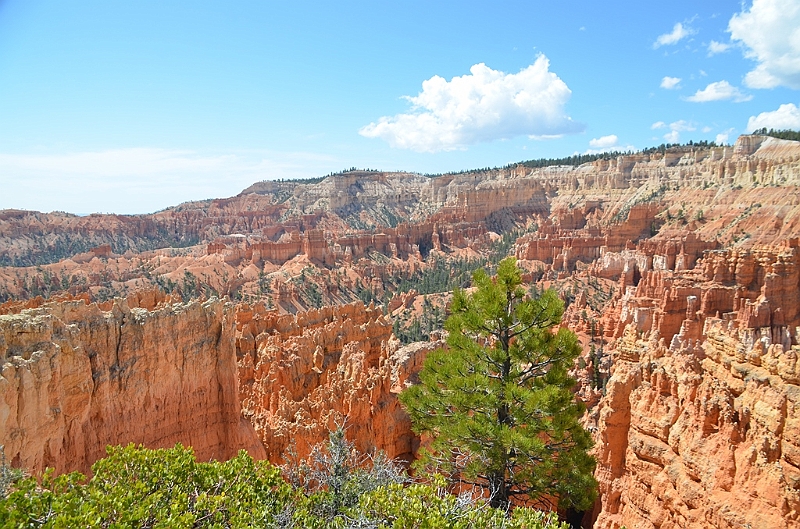 337_USA_Bryce_Canyon_National_Park.JPG