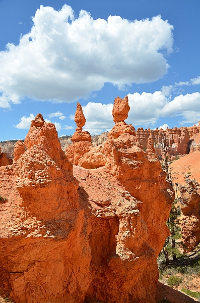 346_USA_Bryce_Canyon_National_Park.JPG