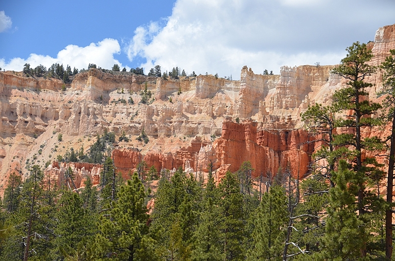 357_USA_Bryce_Canyon_National_Park.JPG