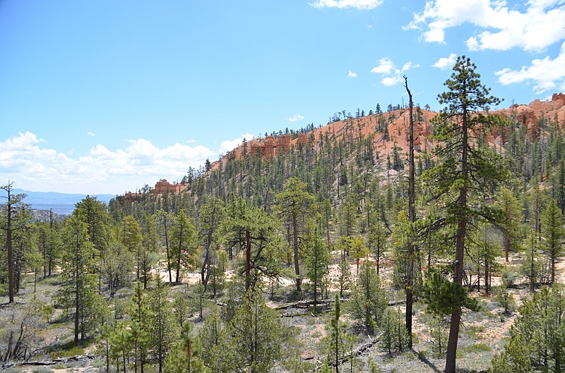 360_USA_Bryce_Canyon_National_Park.JPG