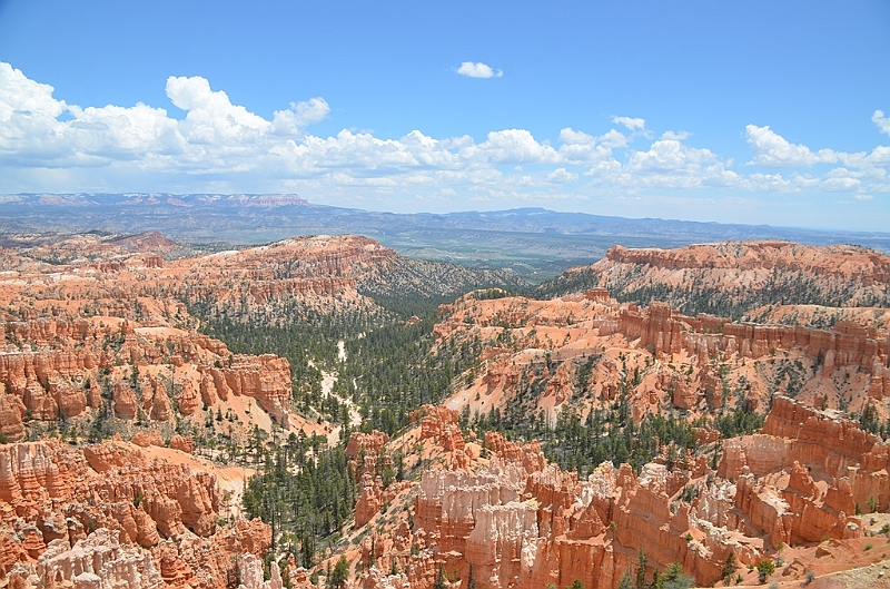 376_USA_Bryce_Canyon_National_Park.JPG