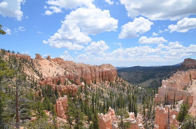 389_USA_Bryce_Canyon_National_Park.JPG