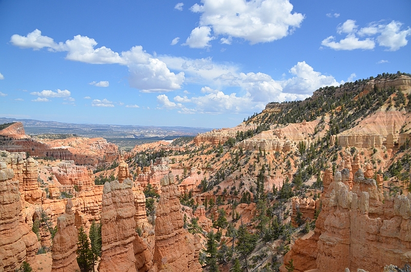 403_USA_Bryce_Canyon_National_Park.JPG