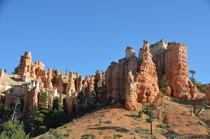 406_USA_Bryce_Canyon_National_Park.JPG