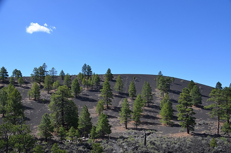 597_USA_Sunset_Crater_National_Monument.JPG