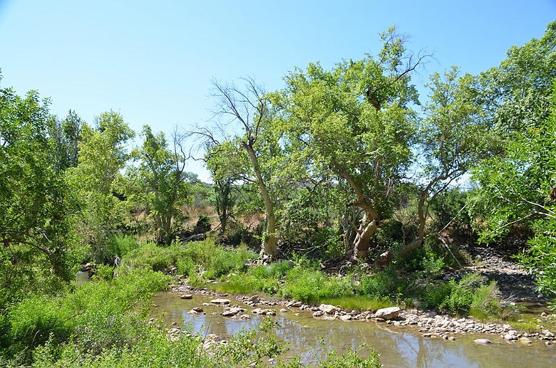 642_USA_Montezuma_Castle_National_Monument.JPG