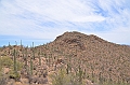 038_USA_Saguaro_National_Park