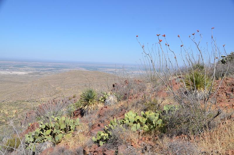 015_Franklin_Mountains_State_Park.JPG