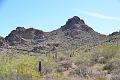 087_Arizona_Tucson_Saguaro_NP09