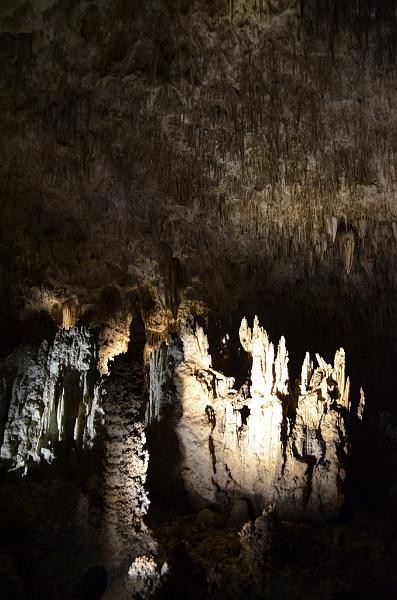 065_USA_Carlsberg_Caverns_NP.JPG