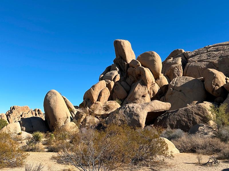 021_USA_Kalifornien­_Joshua_Tree_Nationalpark .JPG