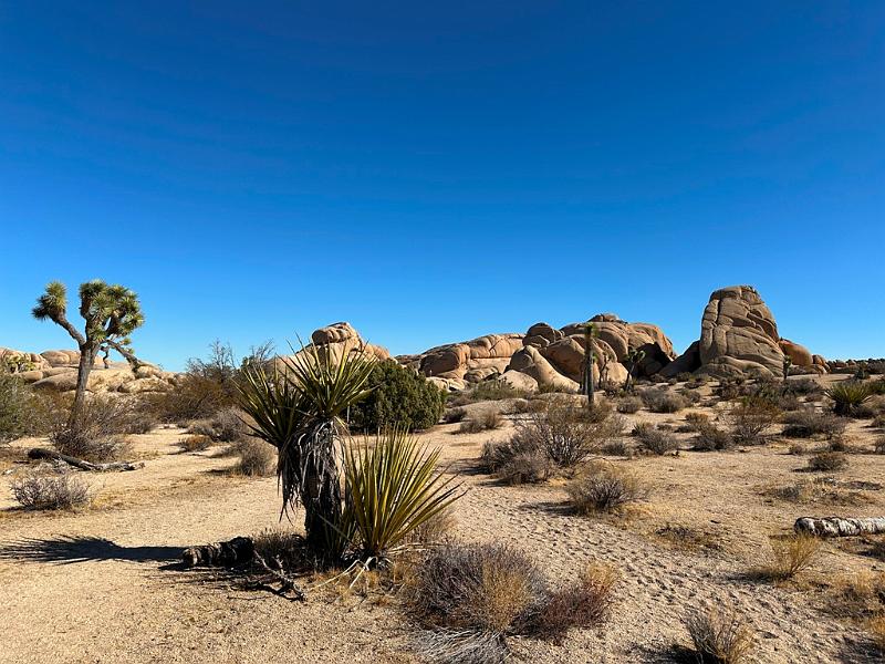 023_USA_Kalifornien­_Joshua_Tree_Nationalpark .JPG