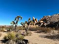 018_USA_Kalifornien­_Joshua_Tree_Nationalpark 