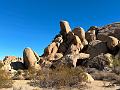 021_USA_Kalifornien­_Joshua_Tree_Nationalpark 