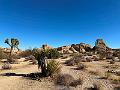 023_USA_Kalifornien­_Joshua_Tree_Nationalpark 