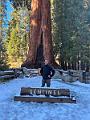 191_USA_Kalifornien_Sequoia_NP_Privat